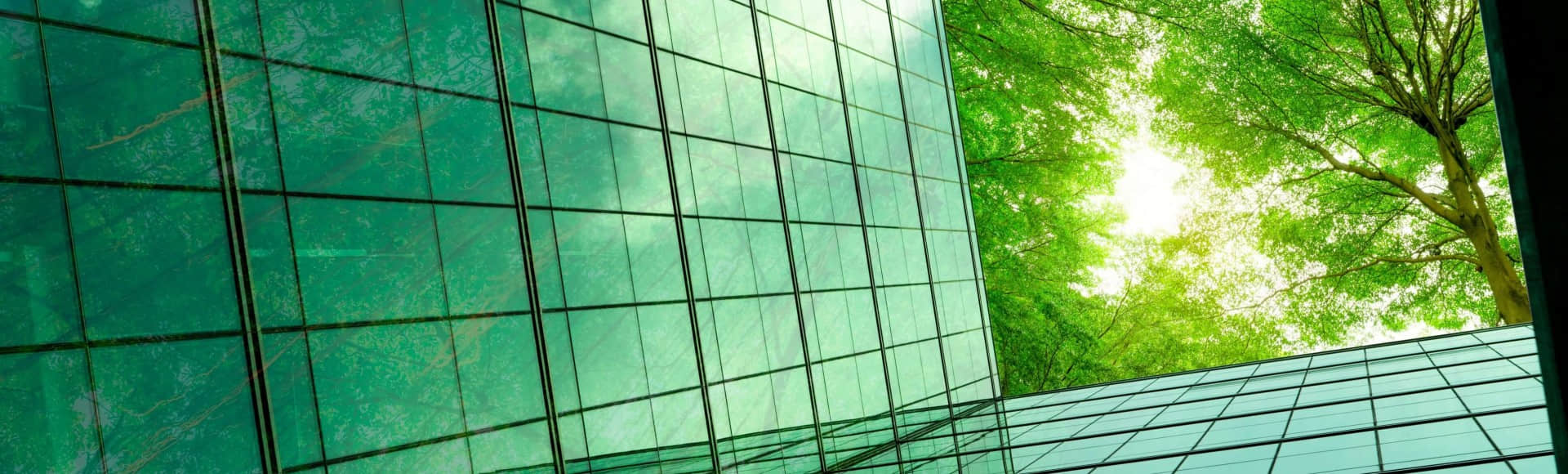 DEKRA德凯成为EcoVadis培训合作伙伴